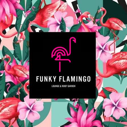 Funky Flamingo