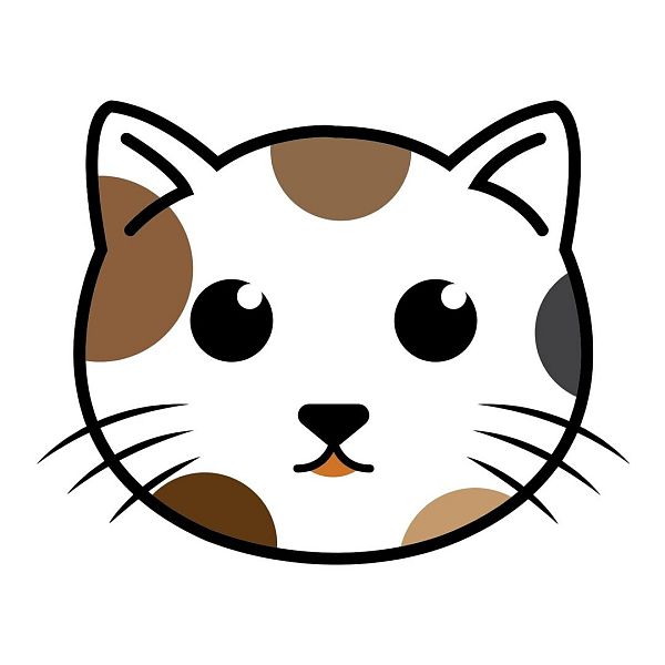 Calico Cat 