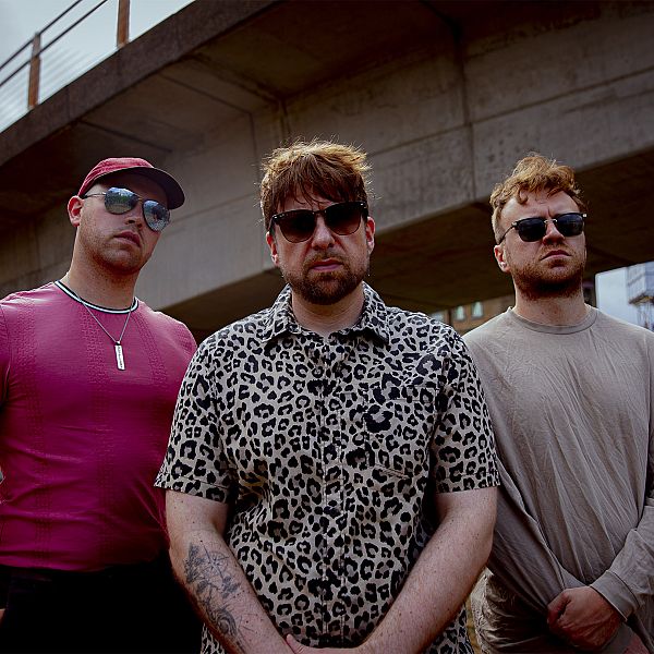 The Slow Cooked Bears