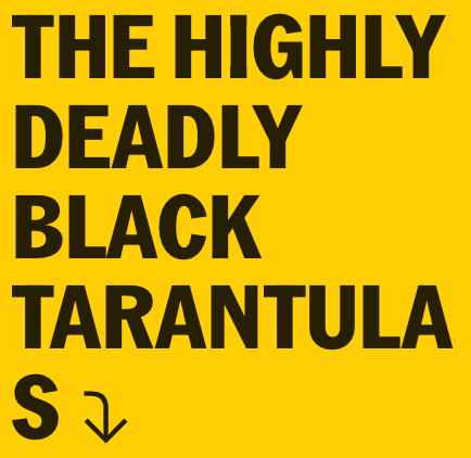 The Highly Deadly Black  Tarantula